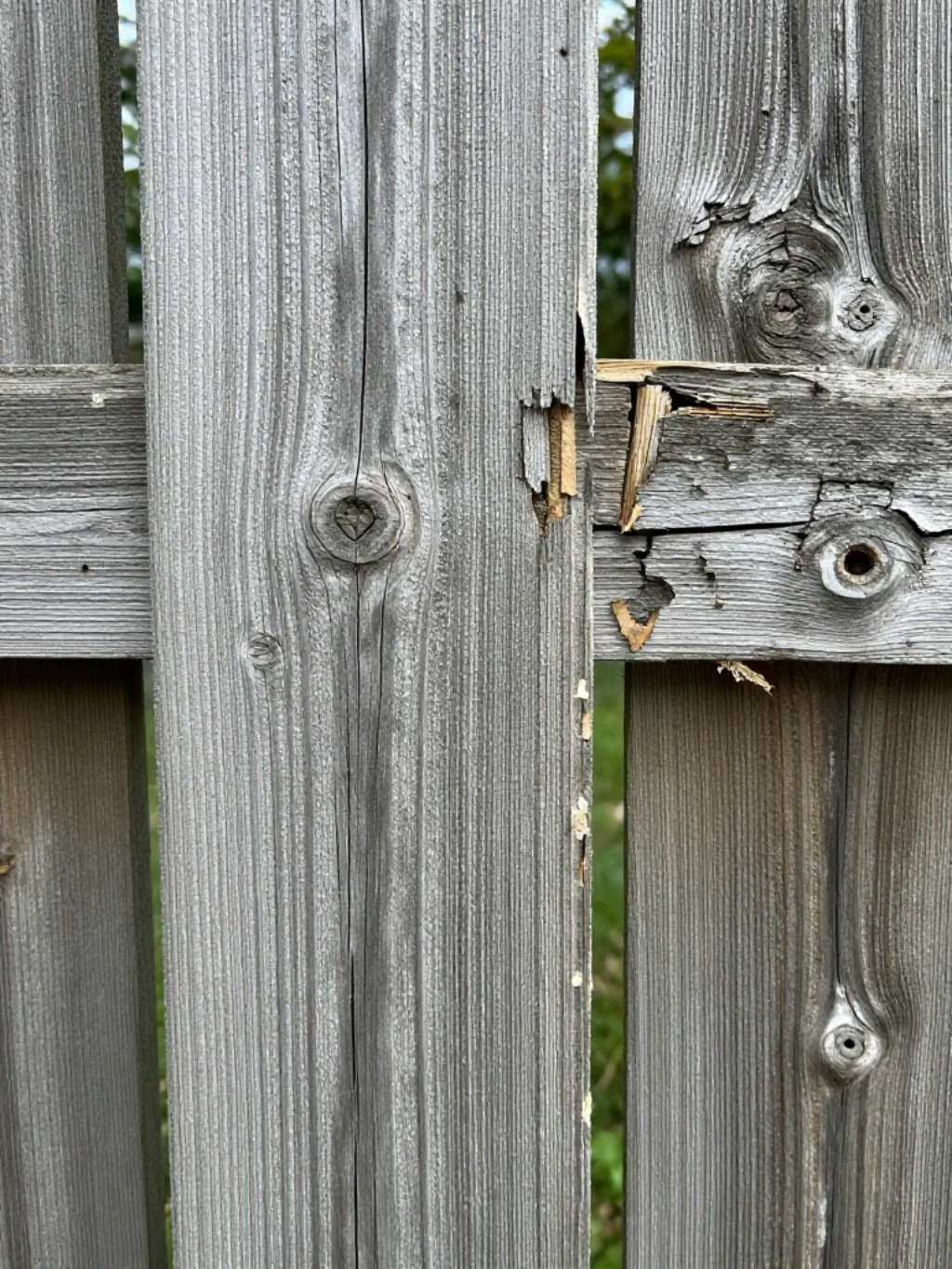 Common Wood Fence Problems and How to Fix Them